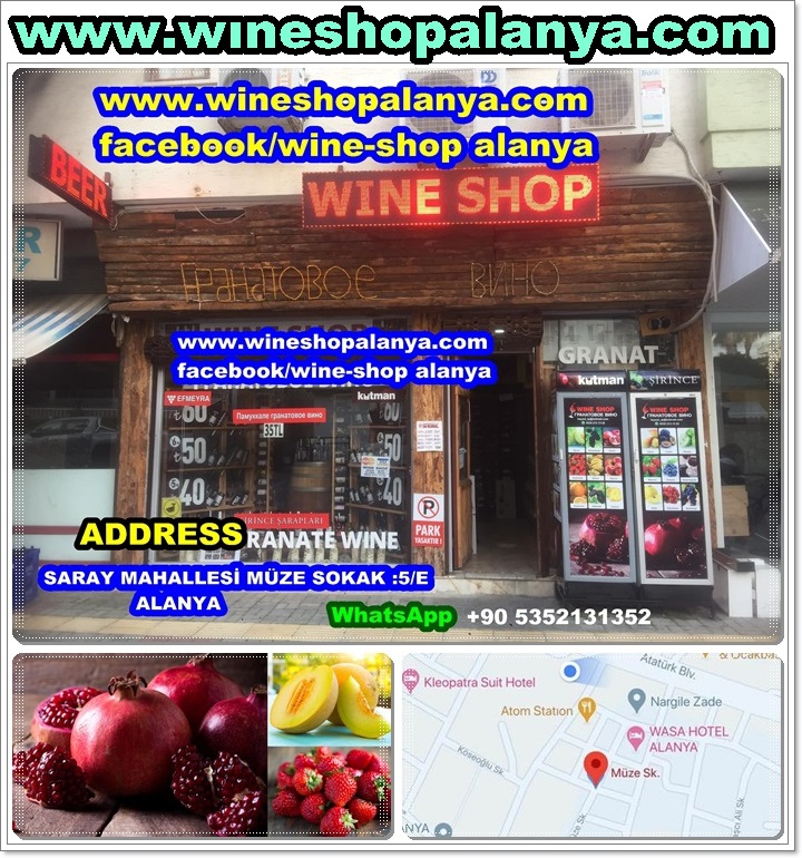 wineshopalanya.com 